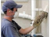 brushy-duct