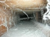 images images